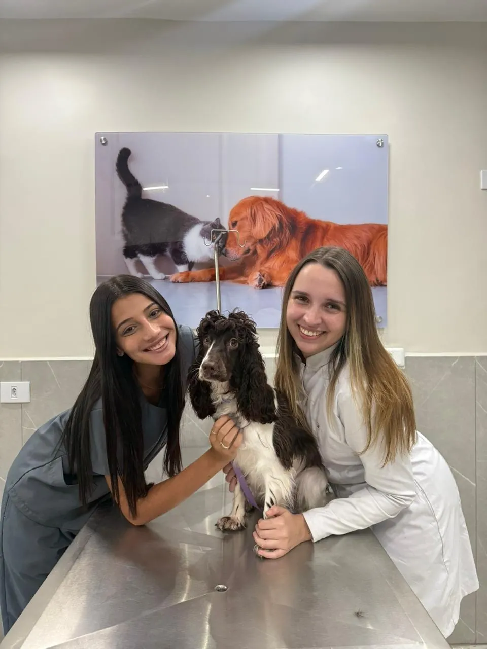 Duas veterinárias com um cocker spaniel na mesa de atendimento