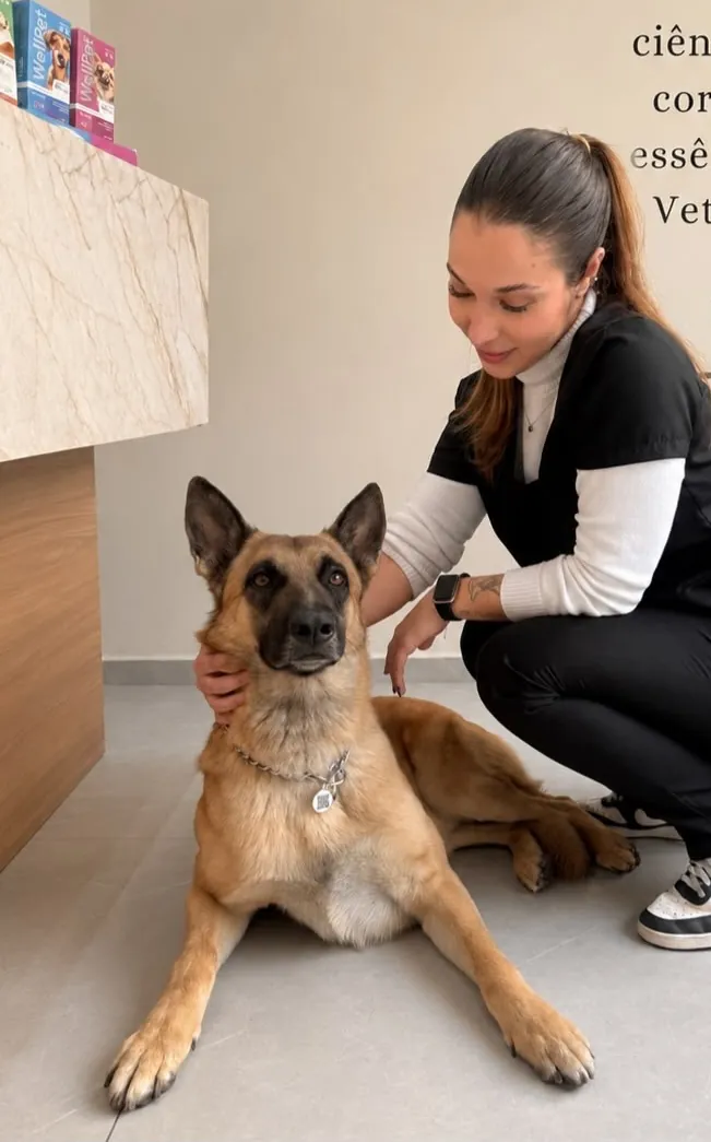 Veterinária fazendo carinho em um pastor-belga