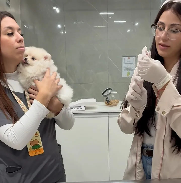 Vacinas no Centro Veterinário Real Parque