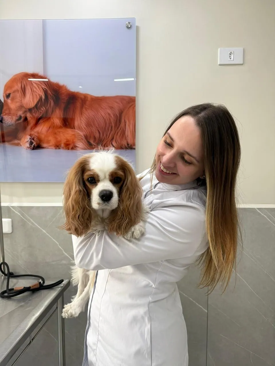 Veterinária com um cavalier king charles no colo