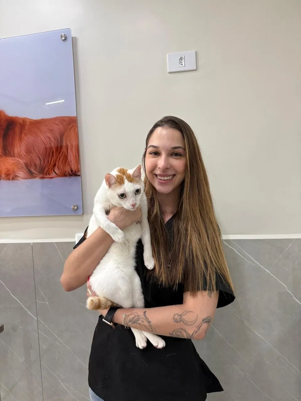 Veterinária segurando um gato branco