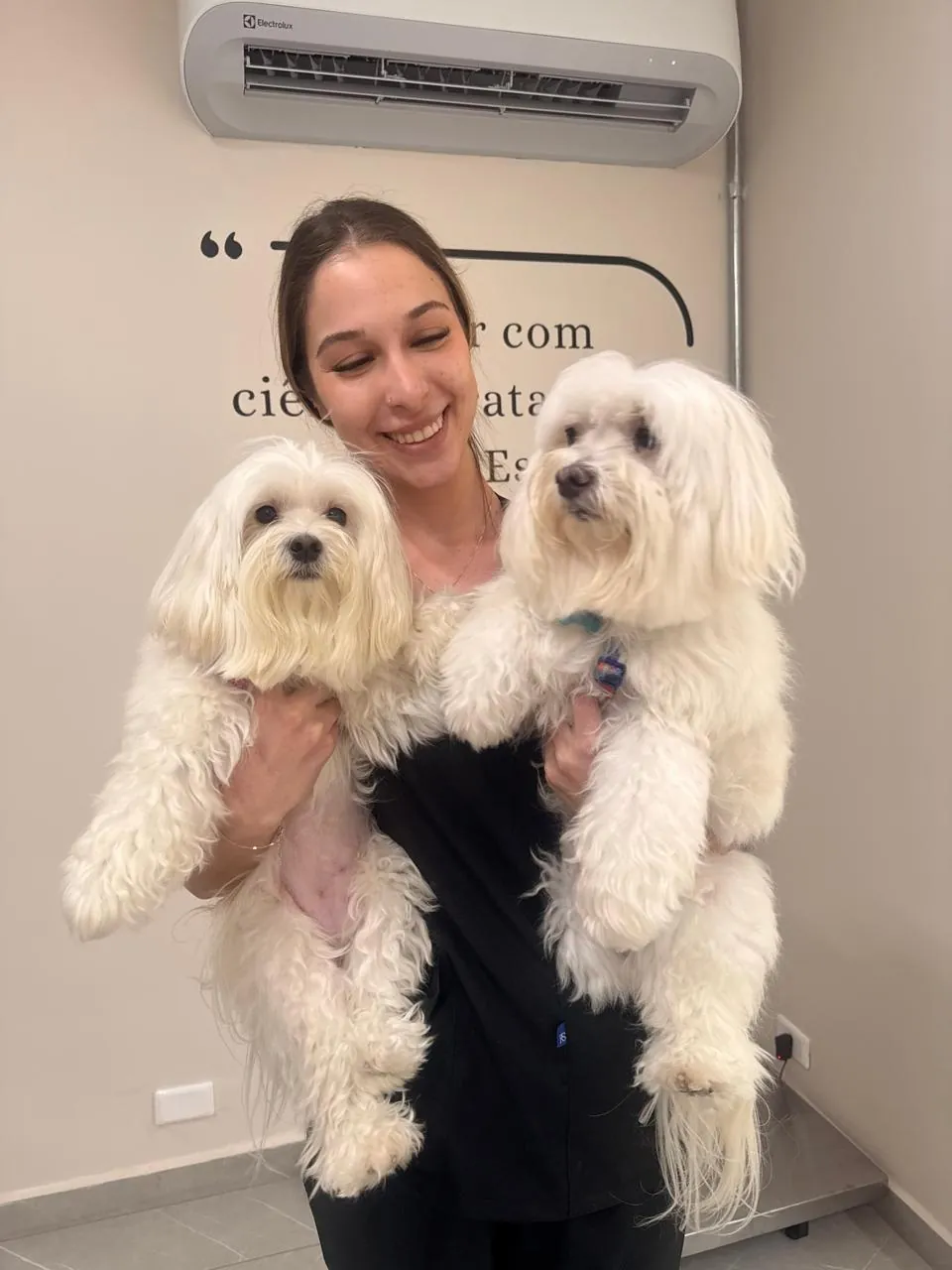 Veterinária com dois malteses brancos no colo