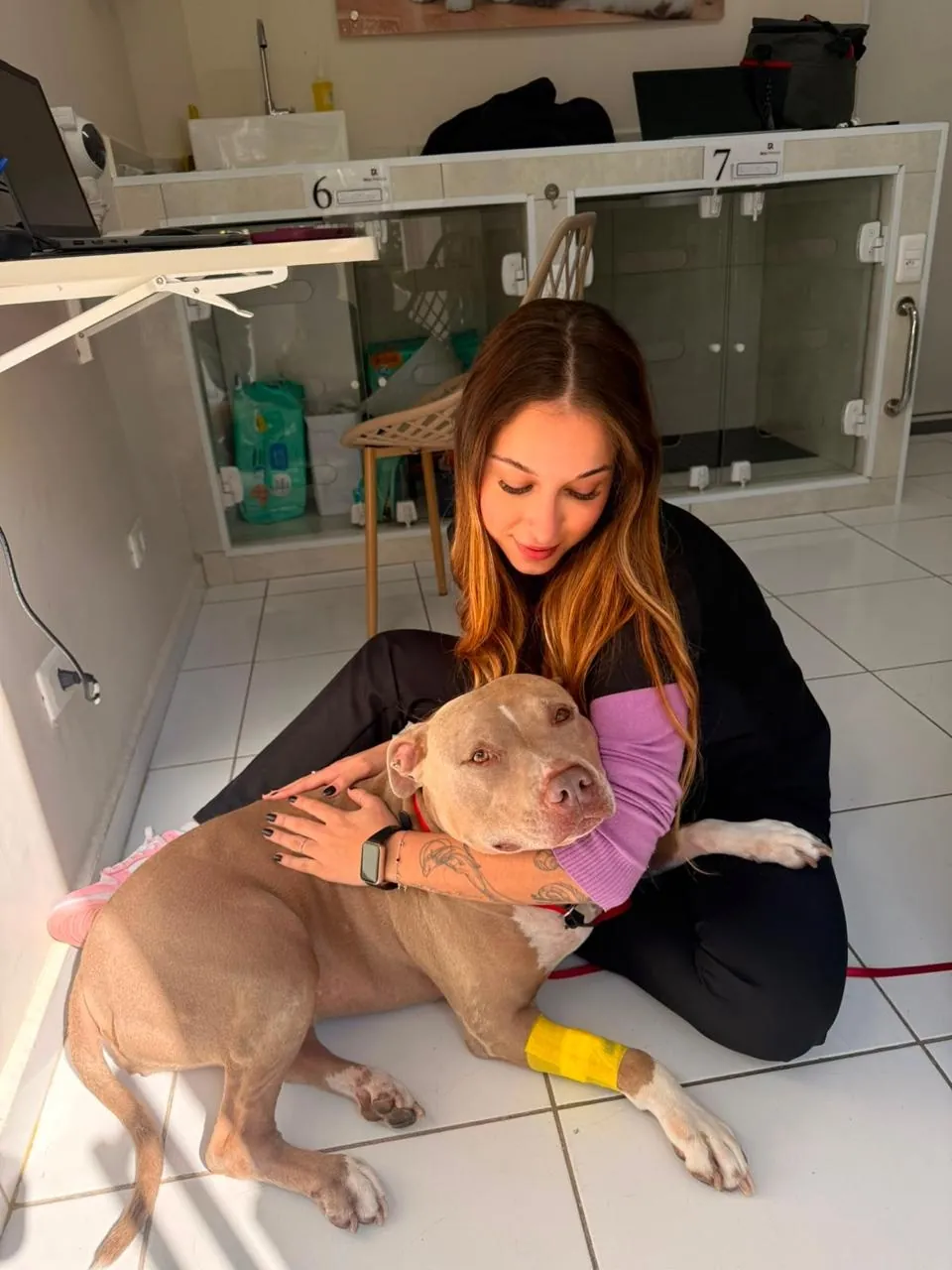 Veterinária abraçando um pit bull