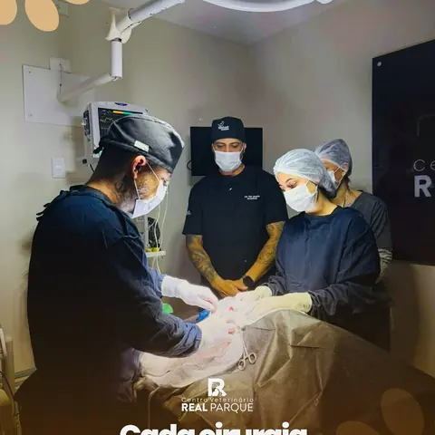 Equipe em cirurgia no bloco cirúrgico