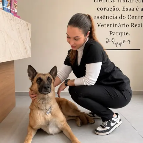 Veterinária acariciando um pastor-belga na recepção