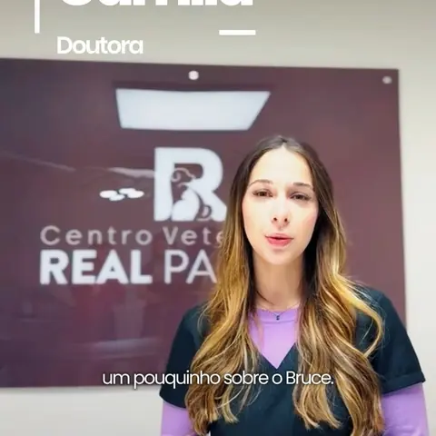 Conheça a equipe
