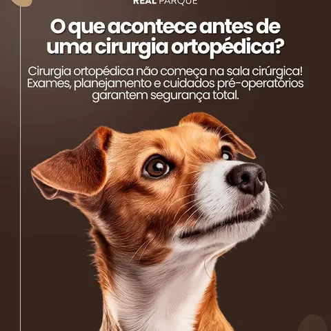 O que acontece antes de uma cirurgia ortopédica