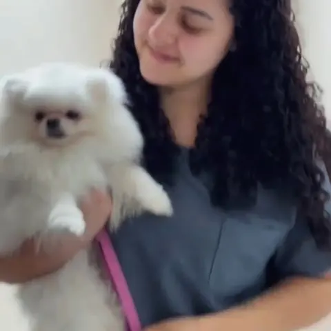 Veterinária do Real Parque com um lulu-da-pomerânia no colo