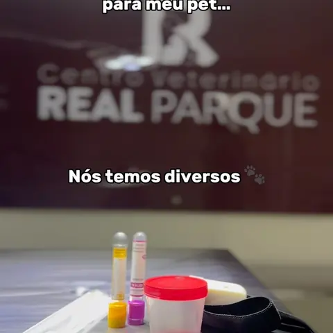 Exames para o seu pet